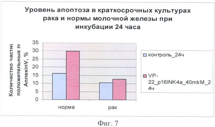 Химерный пептид для лечения эпителиальных и мезенхимальных злокачественных новообразований (патент 2369402)