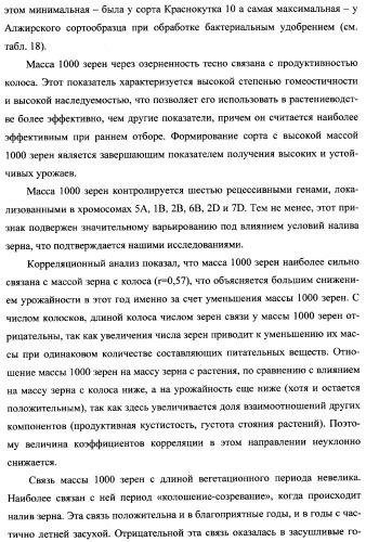 Способ возделывания яровой пшеницы предпочтительно в зоне светло-каштановых почв нижнего поволжья (варианты) (патент 2348137)