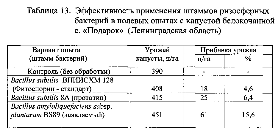 Штамм бактерий bacillus amyloliquefaciens subsp. plantarum bs89 в качестве средства повышения продуктивности растений и их защиты от болезней (патент 2599416)