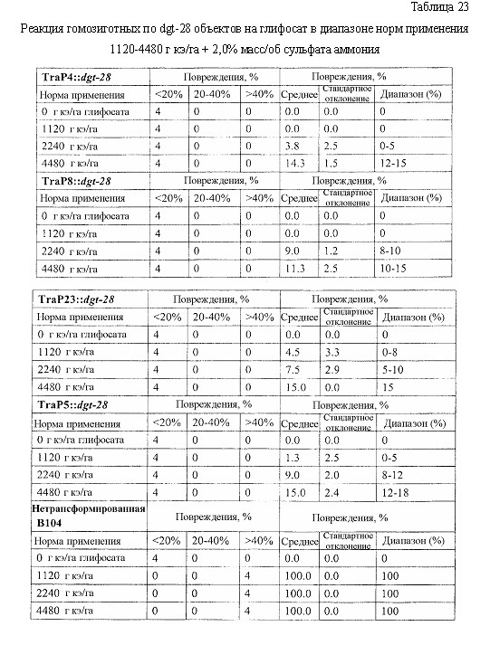 Синтетические транзитные пептиды хлоропласта из brassica (патент 2636035)