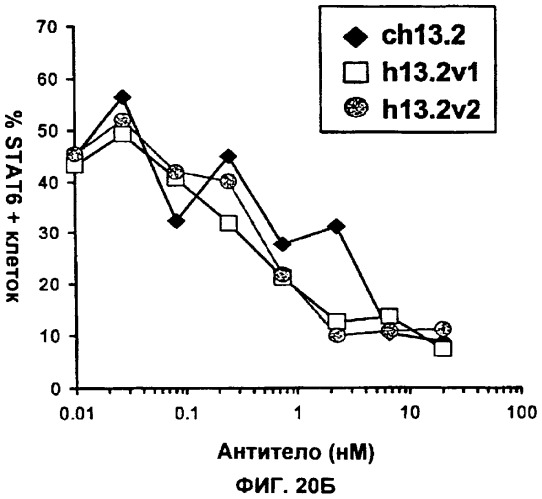Антитела против интерлейкина-13 человека и их применение (патент 2427589)