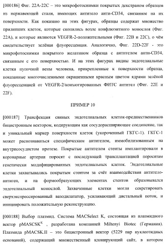 Захват эндотелиальных клеток-предшественников элюирующим лекарственные средства имплантируемым медицинским устройством (патент 2400256)