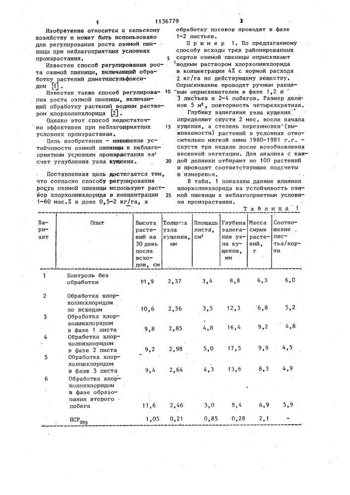 Способ регулирования роста озимой пшеницы (патент 1136779)