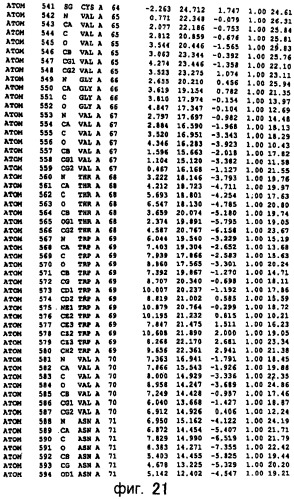 Способ модифицирования трансглутаминаз микроорганизмов (патент 2260051)