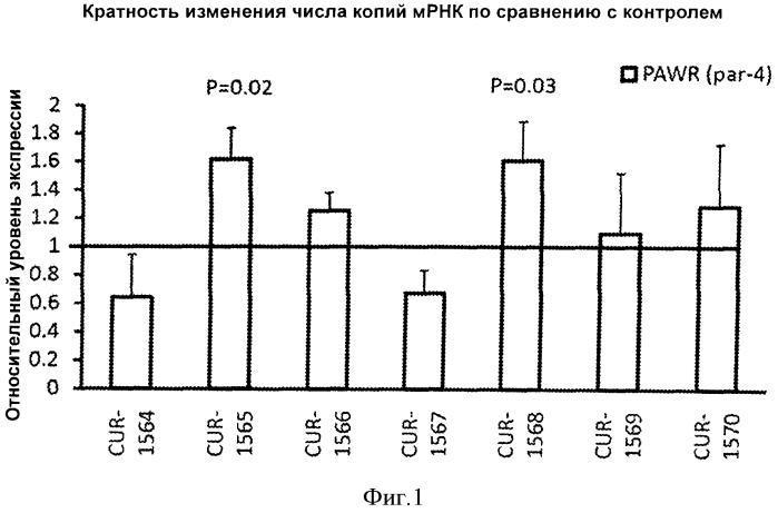 Лечение заболеваний, связанных с белком апоптозного ответа простаты par4, путем ингибирования природного антисмыслового транскрипта гена par4 (патент 2575608)