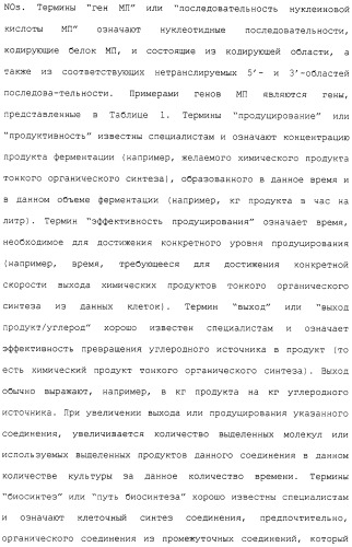 Гены corynebacterium glutamicum, кодирующие белки метаболических путей (патент 2306339)