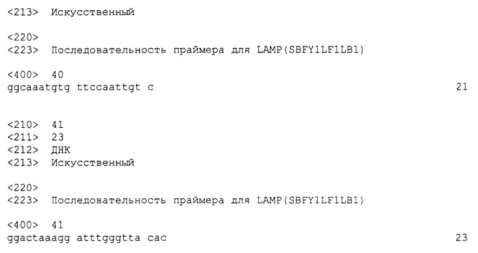 Набор праймеров, используемый для определения дрожжей рода saccharomyces (патент 2432402)