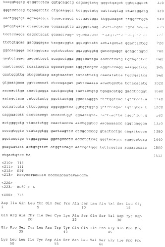 Pscaxcd3, cd19xcd3, c-metxcd3, эндосиалинxcd3, epcamxcd3, igf-1rxcd3 или fap-альфаxcd3 биспецифическое одноцепочечное антитело с межвидовой специфичностью (патент 2547600)