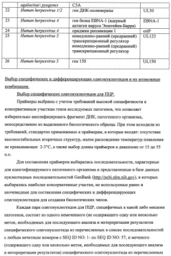 Дифференцирующий и специфический олигонуклеотиды для идентификации последовательностей днк инфекционных агентов в биологических материалах, способ видовой идентификации инфекционных агентов, биочип и набор для осуществления этого способа (патент 2348695)