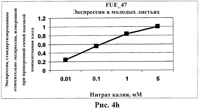 Изолированные полипептиды, кодирующие их полинуклеотиды, экспрессирующие их трансгенные растения и способы их использования (патент 2425151)