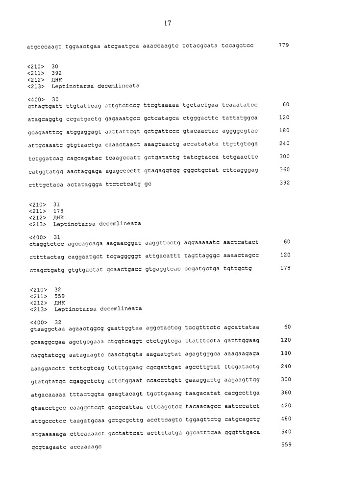 Уменьшение экспрессии генов у насекомых-вредителей (патент 2662995)