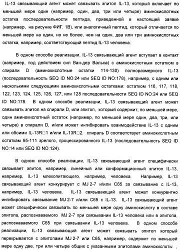 Il-13 связывающие агенты (патент 2434881)