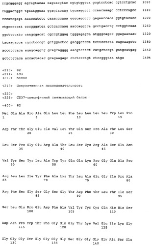 Cd37-иммунотерапевтическая комбинированная терапия и ее применения (патент 2526156)