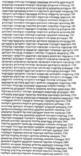 Модуляция экспрессии гентингтина (патент 2562861)