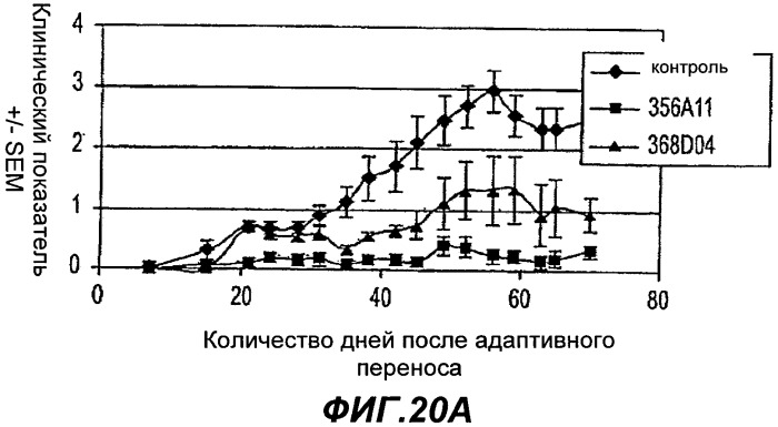 Способы применения антител к il-22 человека (патент 2445976)