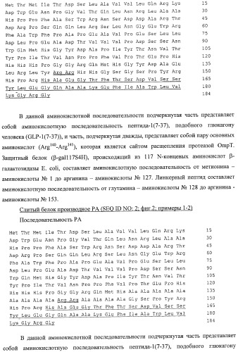 Способ расщепления полипептидов с использованием варианта протеазы оmpт (патент 2395582)