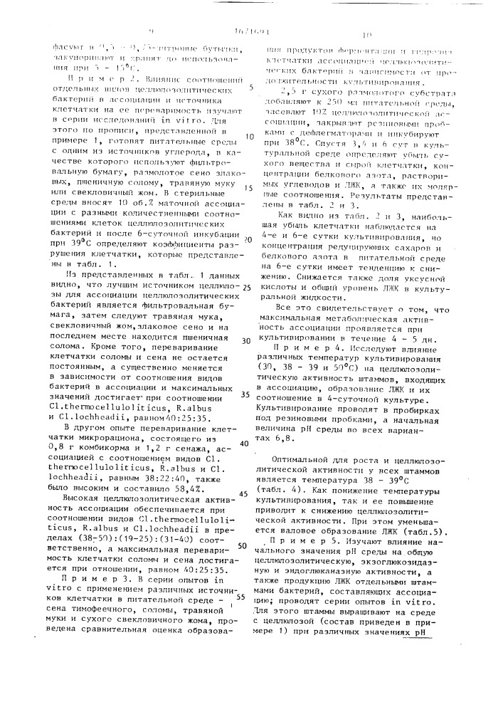 Ассоциация микроорганизмов для скармливания молодняку крупного рогатого скота (патент 1671693)