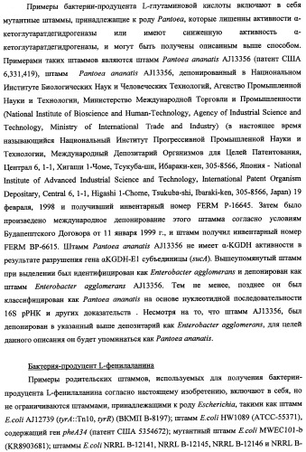 Способ получения l-треонина и l-аргинина с использованием бактерии, принадлежащей к роду escherichia, в которой инактивирован кластер генов yehabcde (патент 2337960)