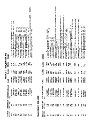 Гены corynebacterium glutamicum, кодирующие белки, участвующие в метаболизме углерода и продуцировании энергии (патент 2321634)