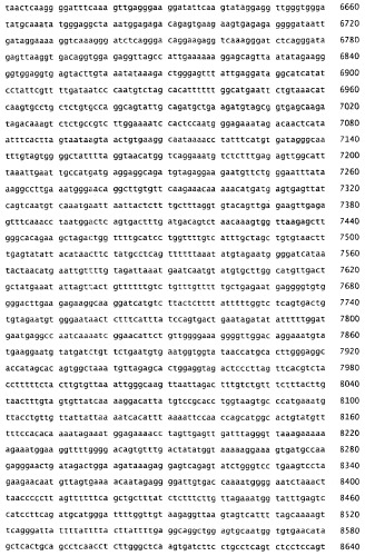 Применение s1p (патент 2362565)