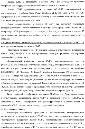 Агонистическое соединение, способное специфически узнавать и поперечно сшивать молекулу клеточной поверхности или внутриклеточную молекулу (патент 2430927)