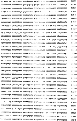 Бактериофаг, обладающий активностью против pseudomonas aeruginosa, белки бактериофага и способы их применения (патент 2580248)