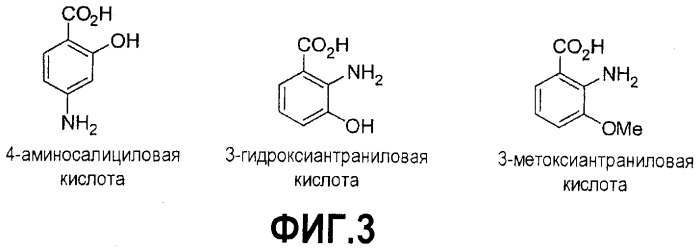 Конъюгаты гидрокодона с бензойной кислотой, производными бензойной кислоты и гетероарилкарбоновой кислотой, пролекарства, способы их получения и их применение (патент 2505541)