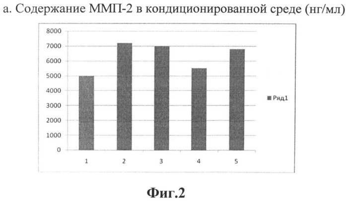 Фитоминеральный комплекс, используемый в косметических масках и кремах для ухода за кожей лица и тела (патент 2532369)