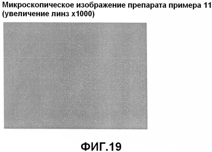 Препарат в форме пленки и способ его получения (патент 2572702)