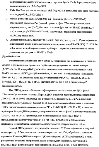 Способ получения l-треонина с использованием бактерии, принадлежащей к роду escherichia, в которой инактивирован ген fhua (патент 2333955)