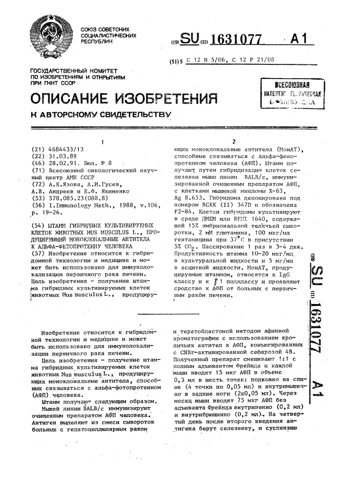 Штамм гибридных культивируемых клеток животных mus мusсulus l., продуцирующий моноклональные антитела к альфа- фетопротеину человека (патент 1631077)