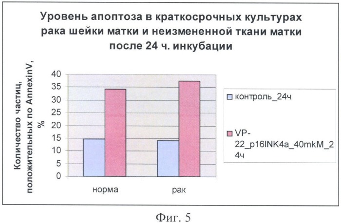 Химерный пептид для лечения эпителиальных и мезенхимальных злокачественных новообразований (патент 2369402)