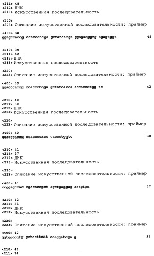 Терапевтические агенты, содержащие проапоптозные белки (патент 2319709)