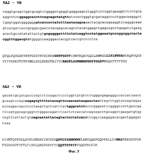 Антитела, нейтрализующие цитомегаловирус человека, и их применение (патент 2469045)