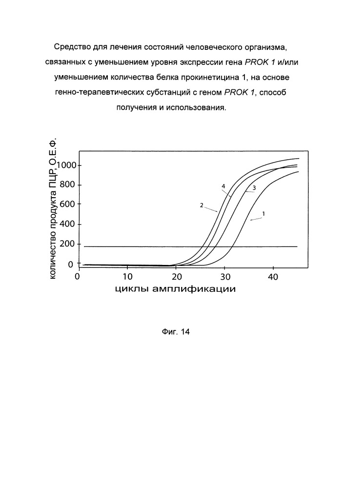 Средство для лечения состояний человеческого организма, связанных с уменьшением уровня экспрессии гена prok 1 и/или уменьшением количества белка прокинетицина 1 на основе генно-терапевтических субстанций с геном prok 1, способ получения и использования (патент 2662944)