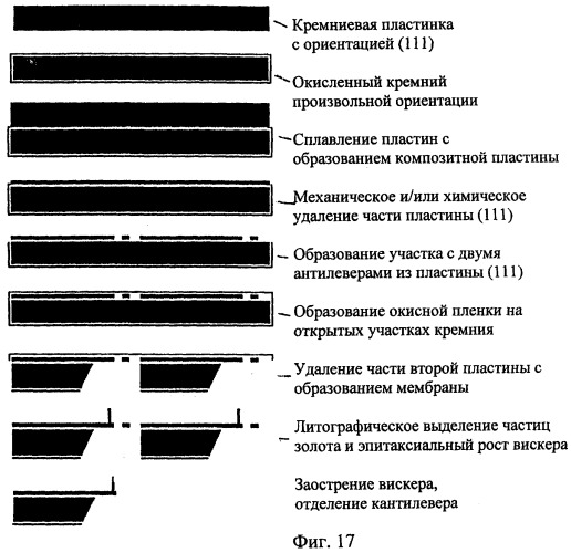 Кантилевер с вискерным зондом и способ его изготовления (патент 2275591)