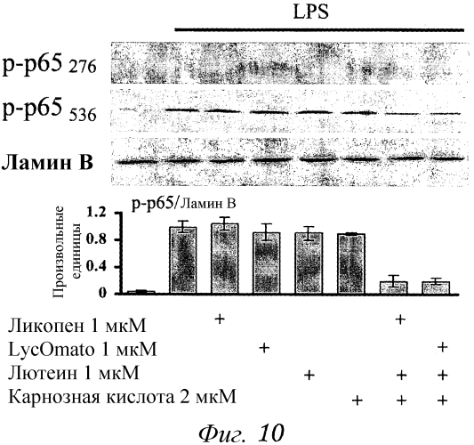 Синергические комбинации каротиноидов и полифенолов (патент 2563991)