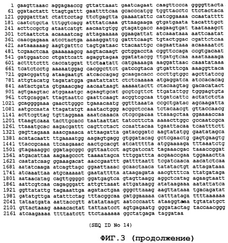 Экспрессирующая система (патент 2385348)