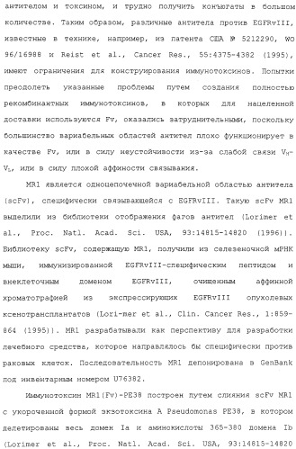 Scfv против egfrviii с улучшенной цитотоксичностью и выходом, иммунотоксины на их основе и способы их применения (патент 2317999)