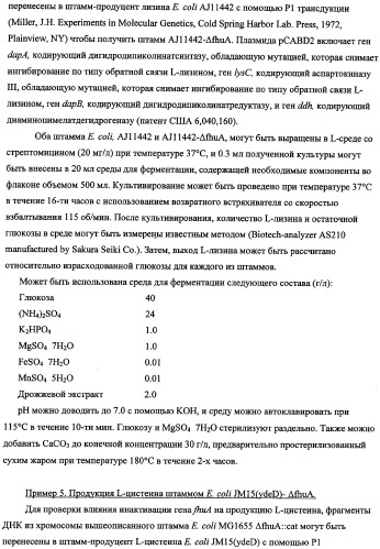 Способ получения l-треонина с использованием бактерии, принадлежащей к роду escherichia, в которой инактивирован ген fhua (патент 2333955)