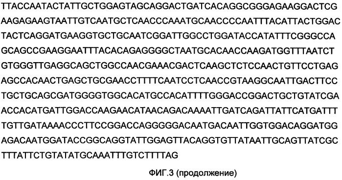 Иммунобиологическое средство и способ его использования для индукции специфического иммунитета против вируса эбола (патент 2578159)