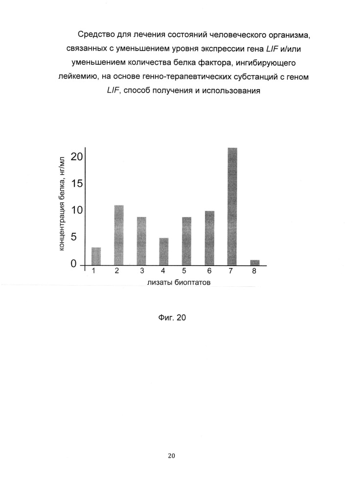 Средство для лечения состояний человеческого организма, связанных с уменьшением уровня экспрессии гена lif и/или уменьшением количества белка фактора, ингибирующего лейкемию, на основе генно-терапевтических субстанций с геном lif, способ получения и использования (патент 2653487)