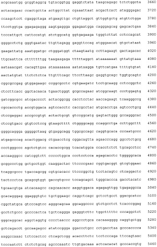 Гуманизированное антитело (н14.18) на основании антитела 14.18 мыши, связывающееся с gd2, и его слияние с il-2 (патент 2366664)