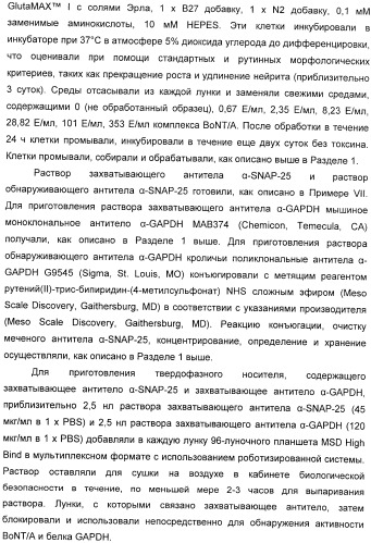 Иммунологические анализы активности ботулинического токсина серотипа а (патент 2491293)