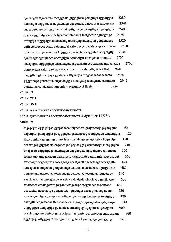 Способ молекулярной диагностики митохондриальных патологий на основе технологии пиросеквенирования (патент 2633752)