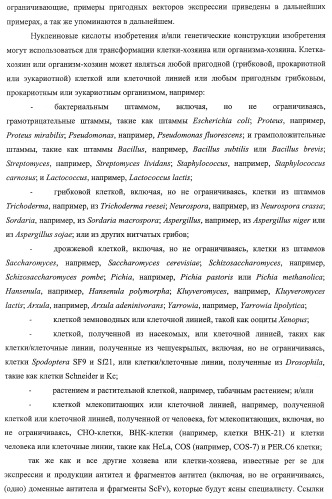 Улучшенные нанотела против фактора некроза опухоли-альфа (патент 2464276)