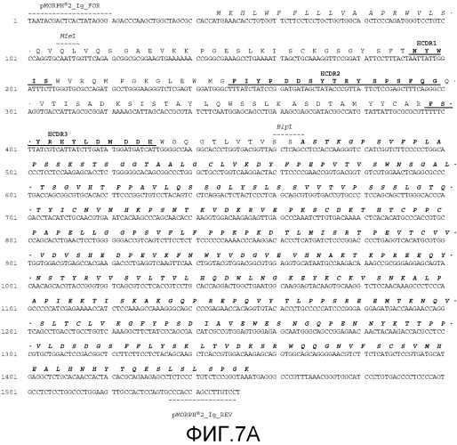 Антитела против mst1r и их применение (патент 2534890)