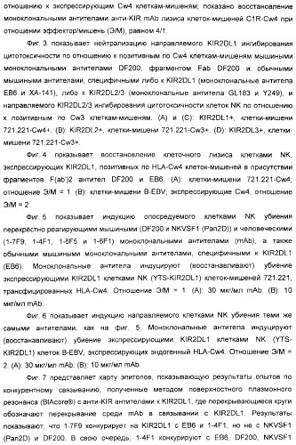 Антитела, связывающиеся с рецепторами kir2dl1,-2,-3 и не связывающиеся с рецептором kir2ds4, и их терапевтическое применение (патент 2410396)