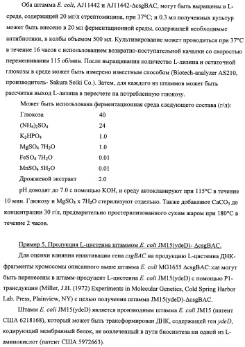 Способ получения l-треонина с использованием бактерии, принадлежащей к роду escherichia, модифицированной таким образом, что в ней нарушена способность к образованию ворсинок типа &quot;керли&quot; (патент 2338782)