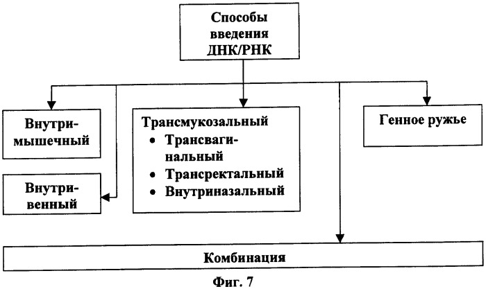 Иммуногенная композиция и способ разработки вакцины, основанной на участках матричного белка вич (патент 2403915)